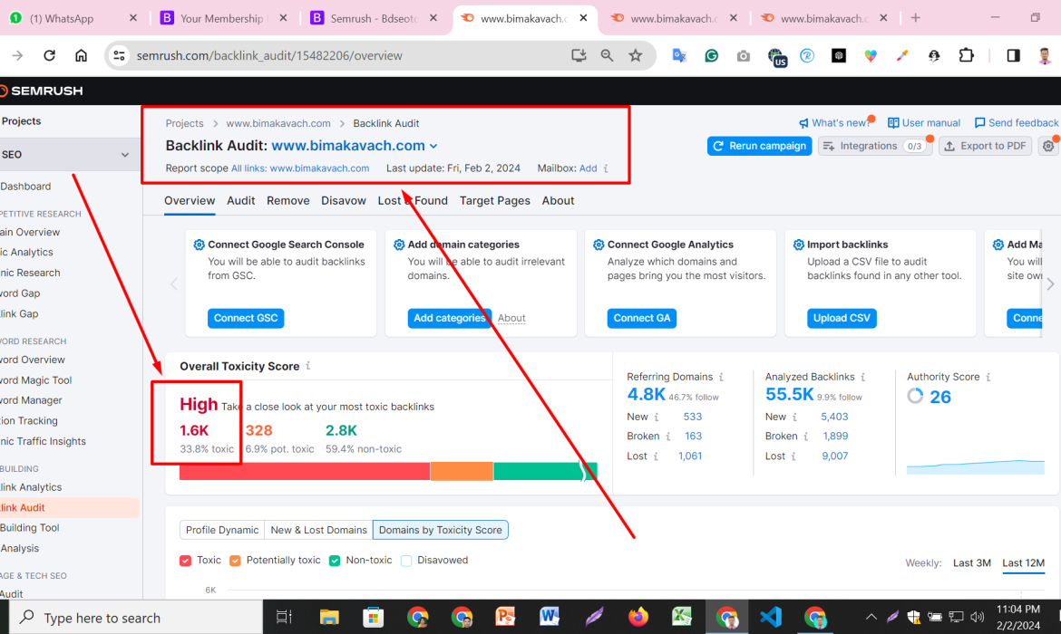 Disavowing Toxic Backlinks: How to Remove Spammy Links and Recover from Google Penalties