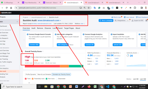 Disavowing Toxic Backlinks: How to Remove Spammy Links and Recover from Google Penalties