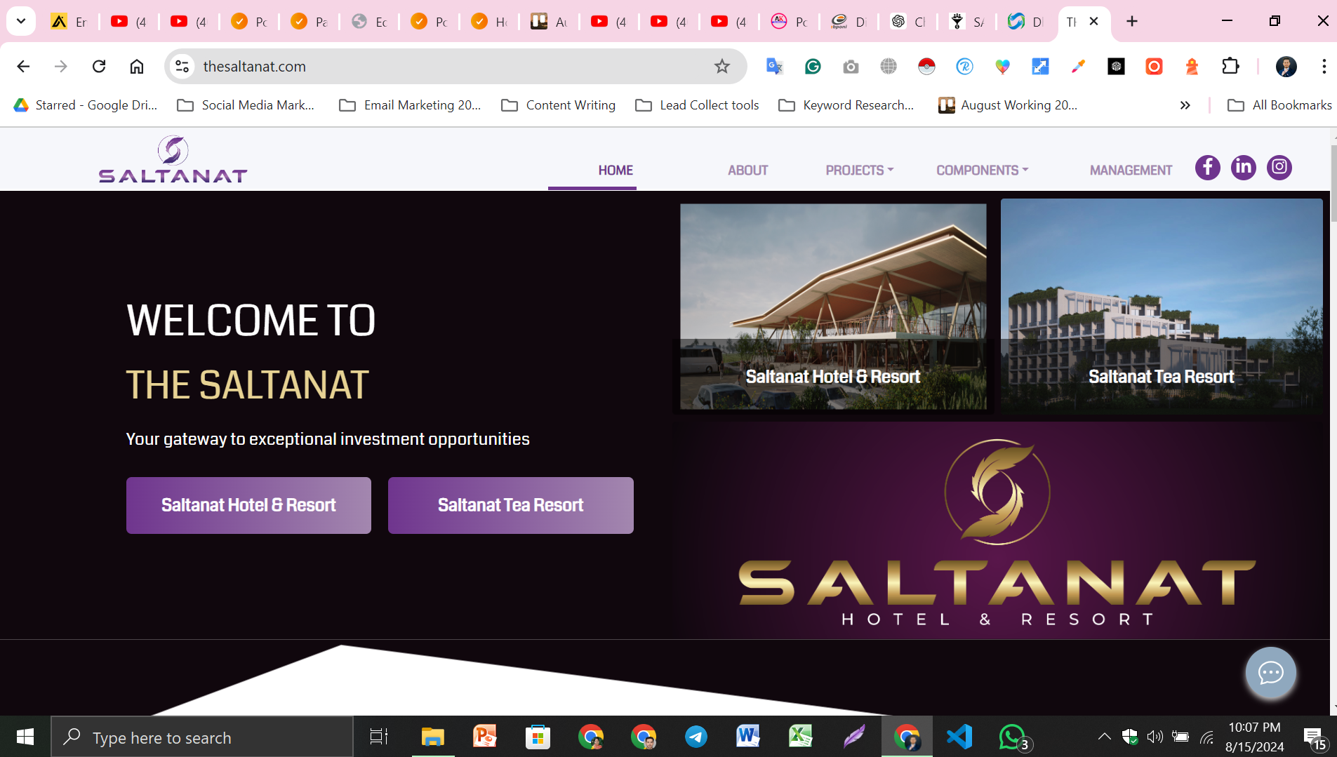Screenshot_3 Website Design for Saltanat