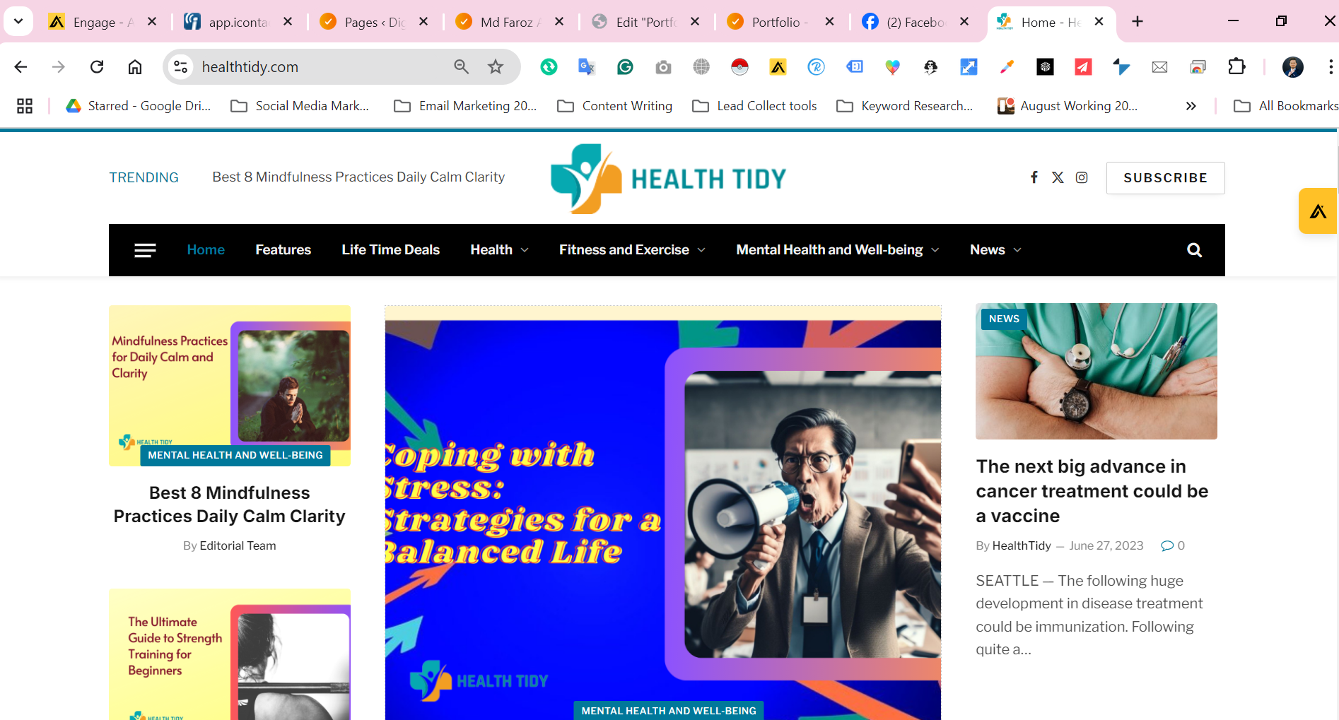 Blogging website made by Healthtidy